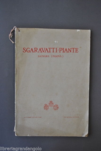 Agricoltura Giardinaggio Catalogo Piante Fiori Uva Orto Sgaravatti Saonara 1928