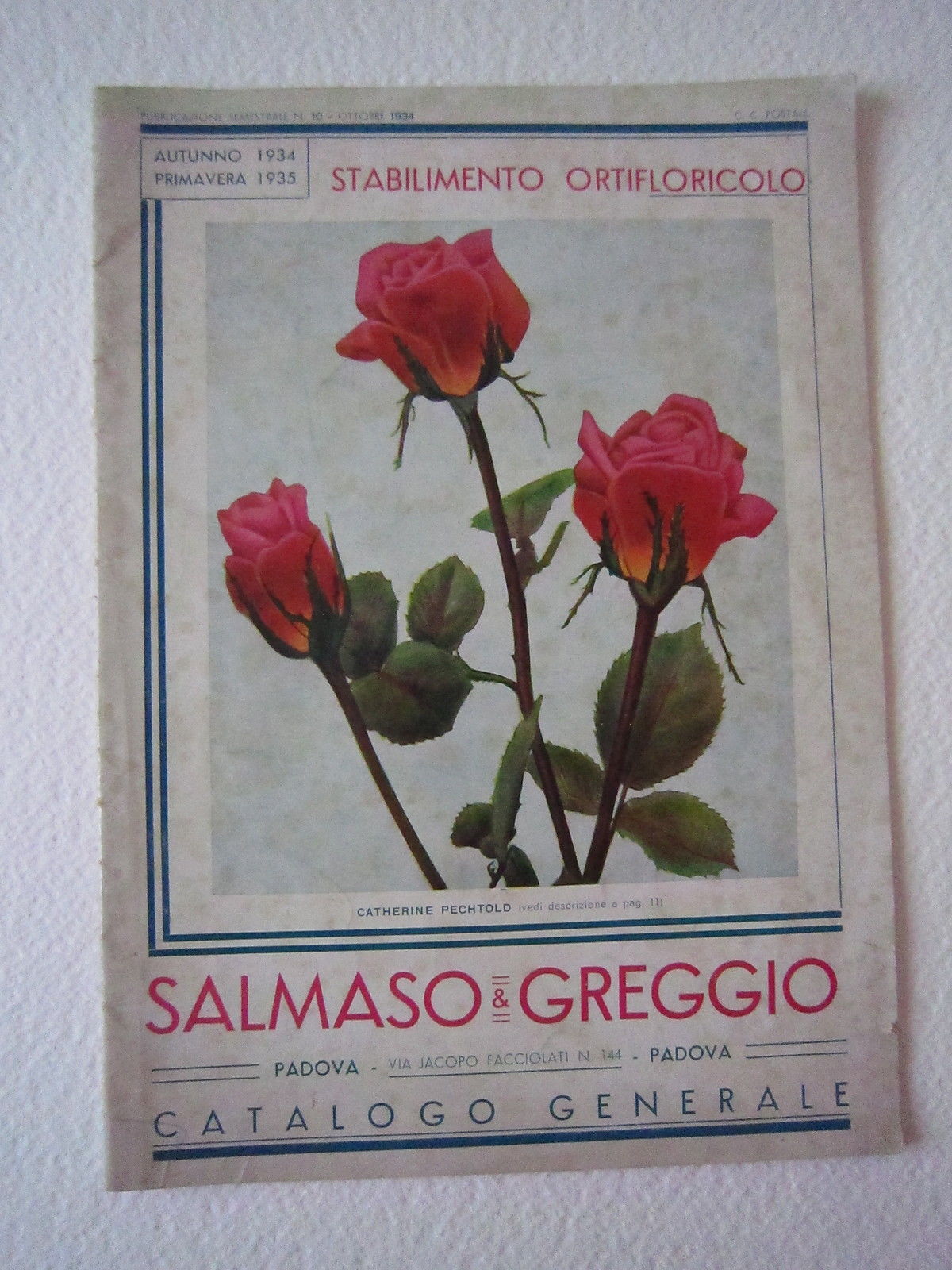 Agricoltura Giardinaggio Piante Salmaso Greggio Padova Catalogo Rose Fiori 1934