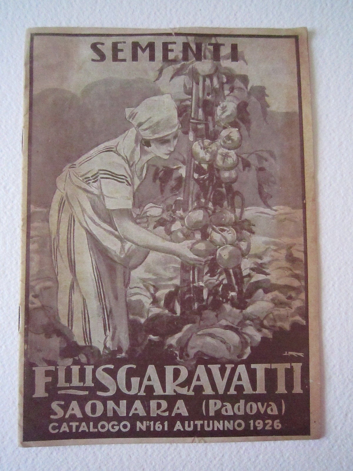 Agricoltura Giardinaggio Piante Sgaravatti Saonara Metlicovitz Catalogo 1926