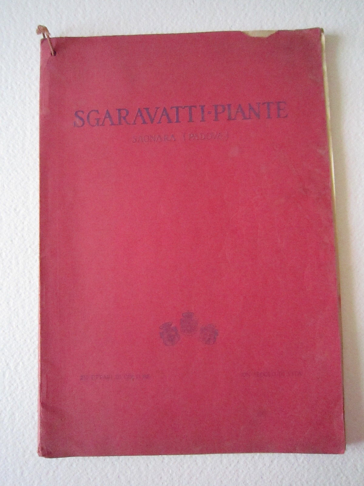 Agricoltura Giardinaggio Piante Sgaravatti Saonara Padova Orto Catalogo 1929
