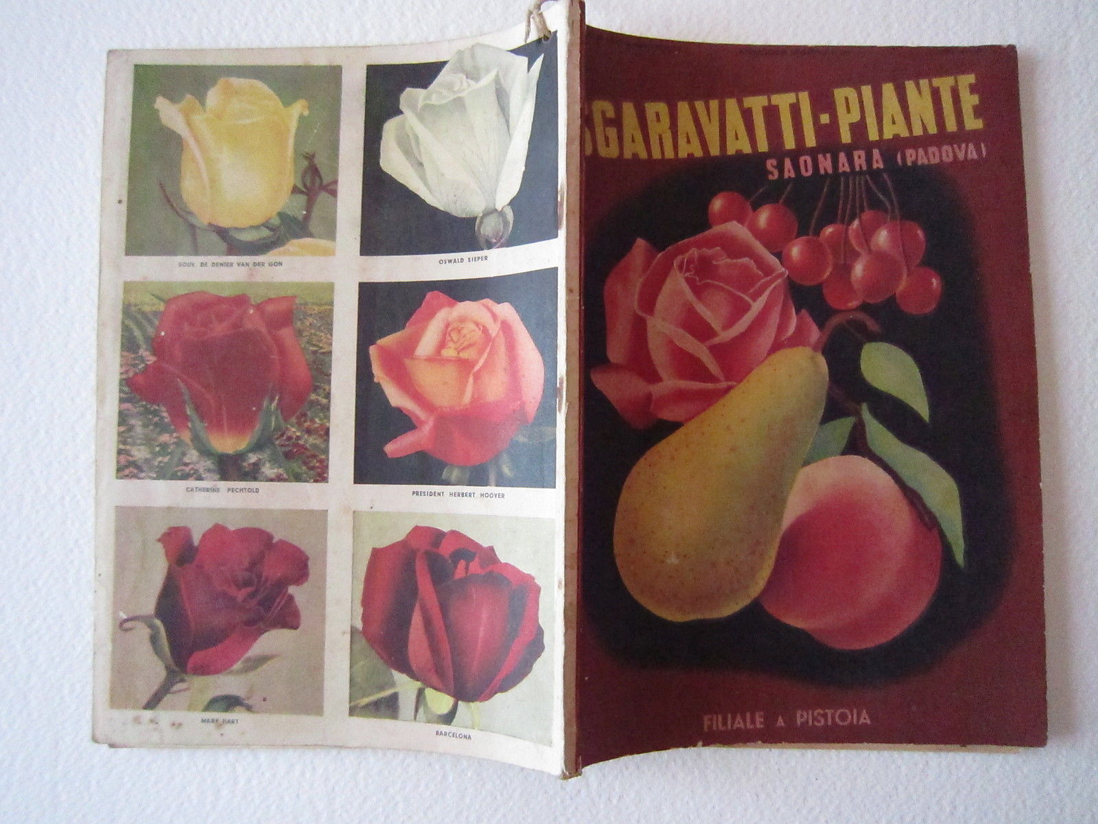 Agricoltura Giardinaggio Piante Sgaravatti Saonara Padova Orto Catalogo 1938