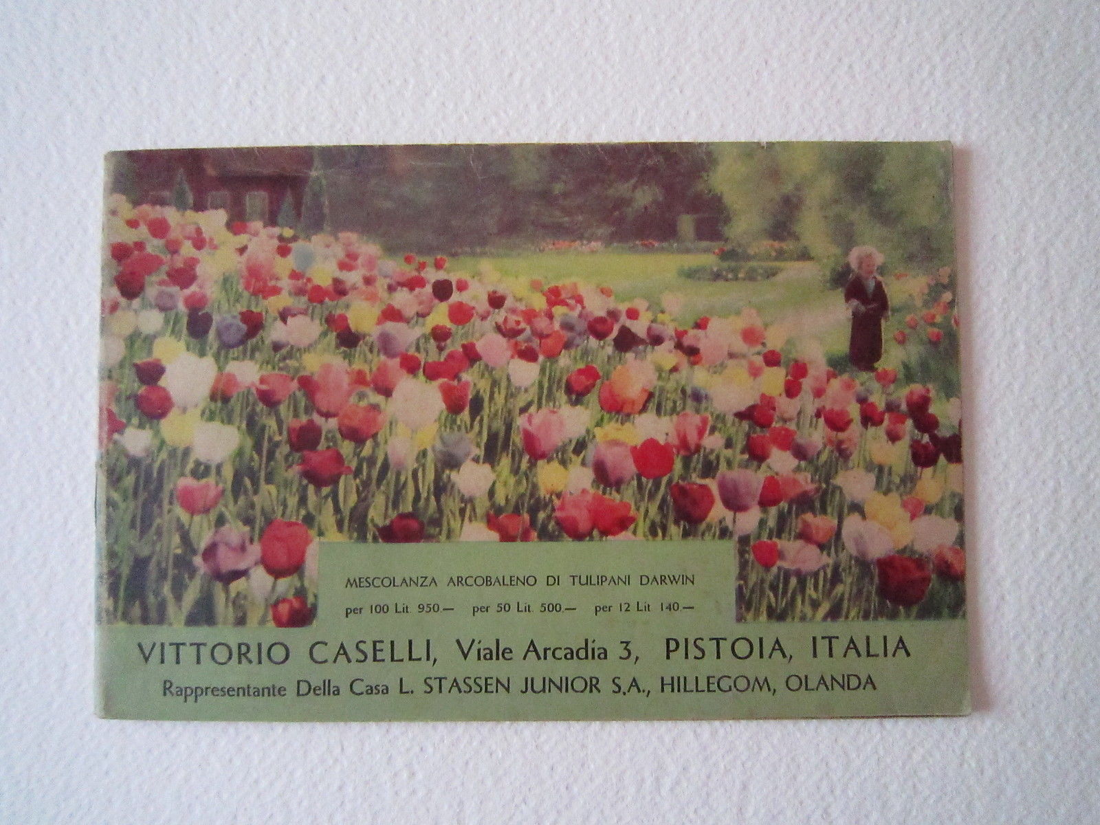 Agricoltura Giardinaggio Piante Vittoria Caselli Pistoia Fiori Catalogo 1947