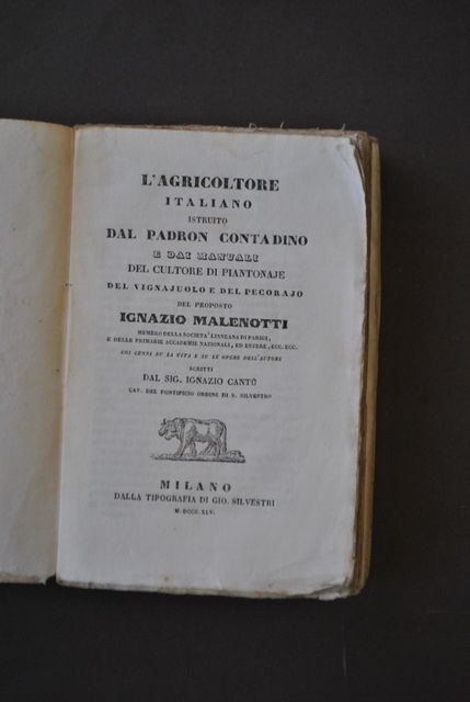 Agricoltura Pastorizia Pecora Vino Vigna Padron Contadino Malenotti Cant˘ 1865