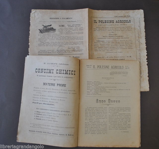 Agricoltura Polesine Agricolo Stalle Lendinara Frumento Coltivazione Gelso 1890