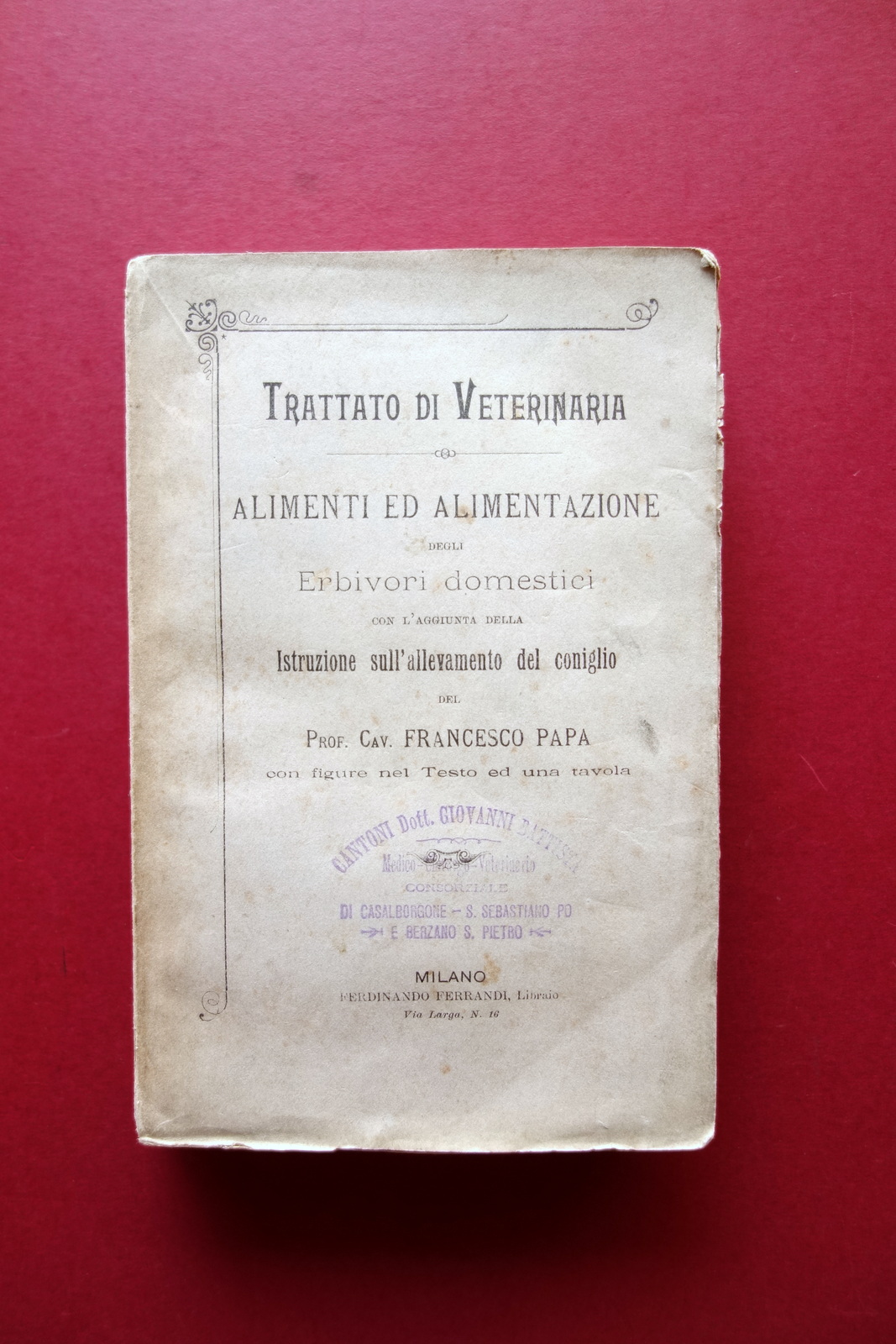 Alimenti ed Alimentazione degli Erbivori Domestici Allevamento del Coniglio Papa
