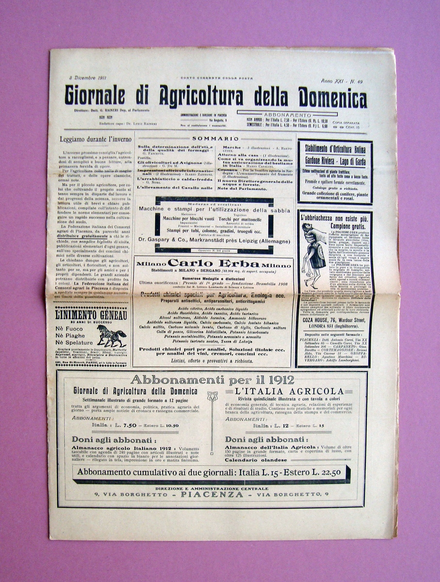 Allevamento del Cavallo nelle Marche Giornale Agricoltura della Domenica 1911