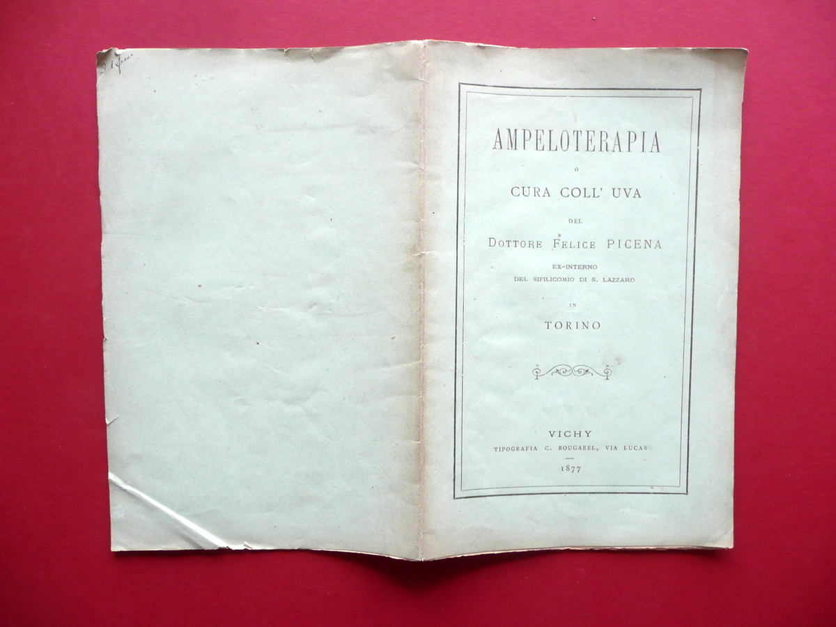Ampeloterapia Cura coll'Uva Picena Bougarel Vichy 1877 Sifilcomio S. Lazzaro