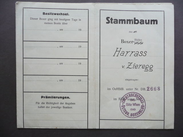 Animali Cani Pedigree Albero Genealogico Stammbaum Boxer Vienna 1934