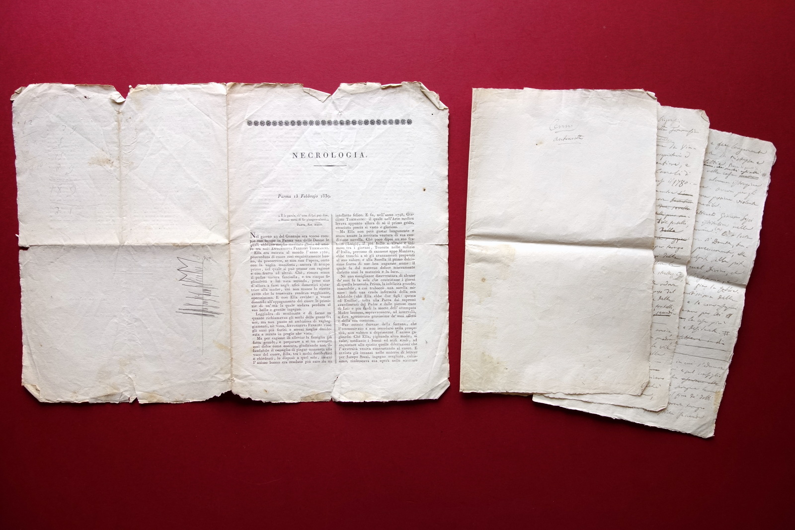 Antonietta Ferroni Tommasini Manoscritto Biografia Necrologia 1839 M. Leoni