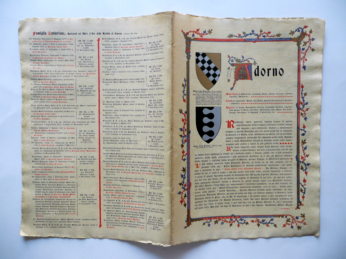 Araldica Famiglia Adorno Genova Podest‡ Ramo Secondogenito Blasoni Stemmi 1900