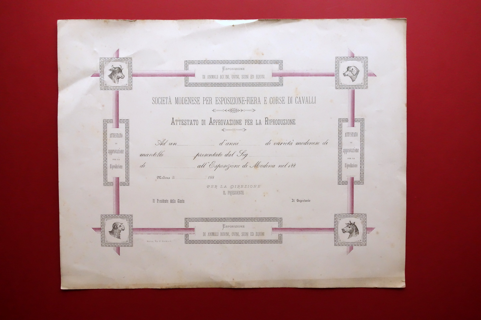 Attestato per Riproduzione Societ‡ Modenese Esposizione Fiera Corse Cavalli '800