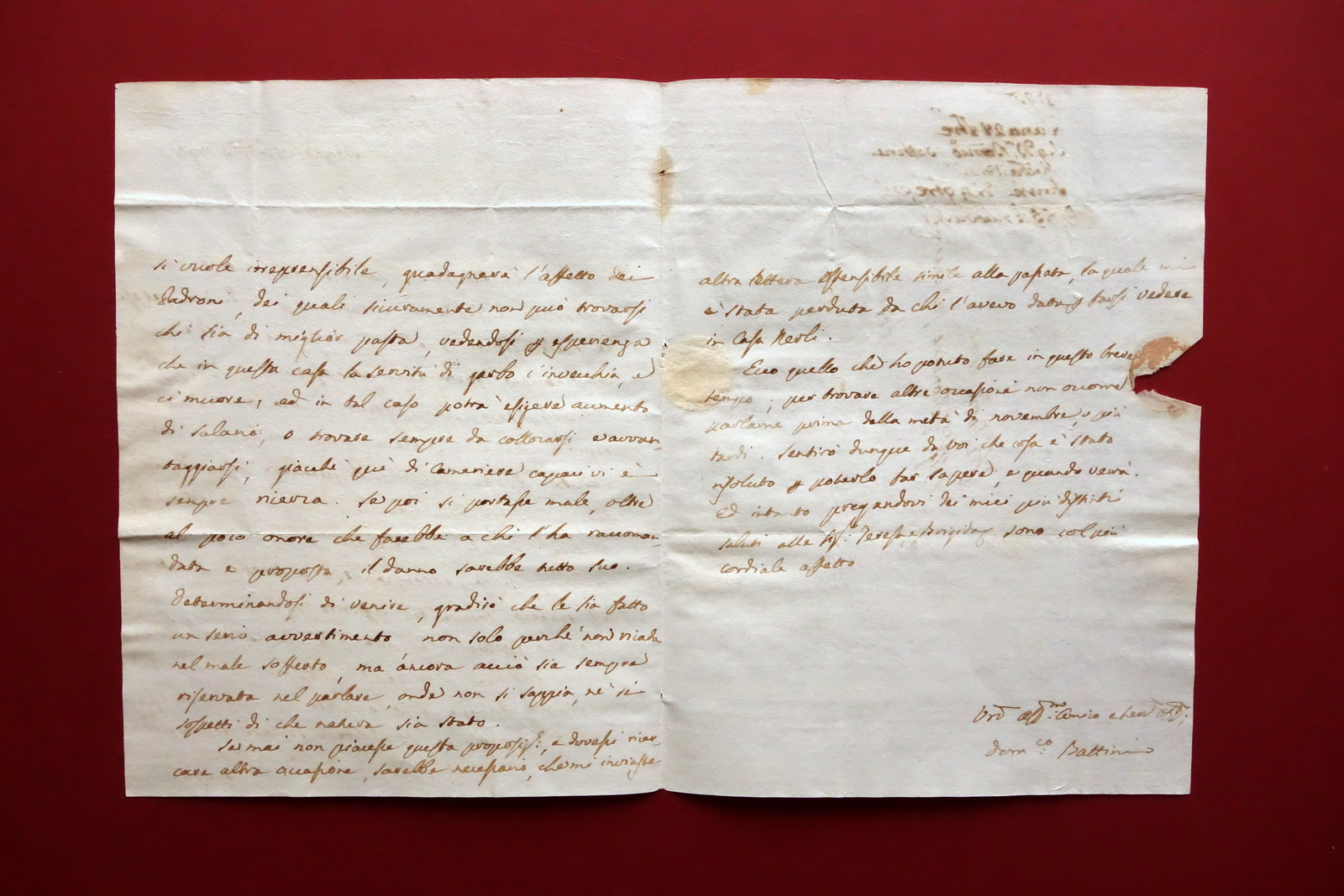 Autografo Domenico Battini Lettera Medico Siena Assunzione di Cameriera 1793