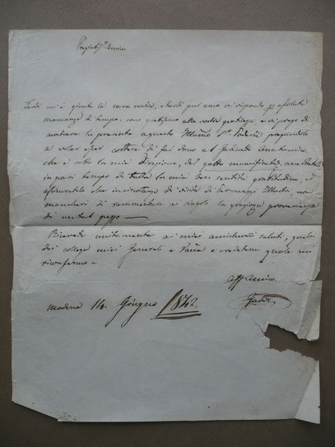 Autografo Paolo Gaddi Medico Anatomia Lettera Gatto Mummificato Modena 1842
