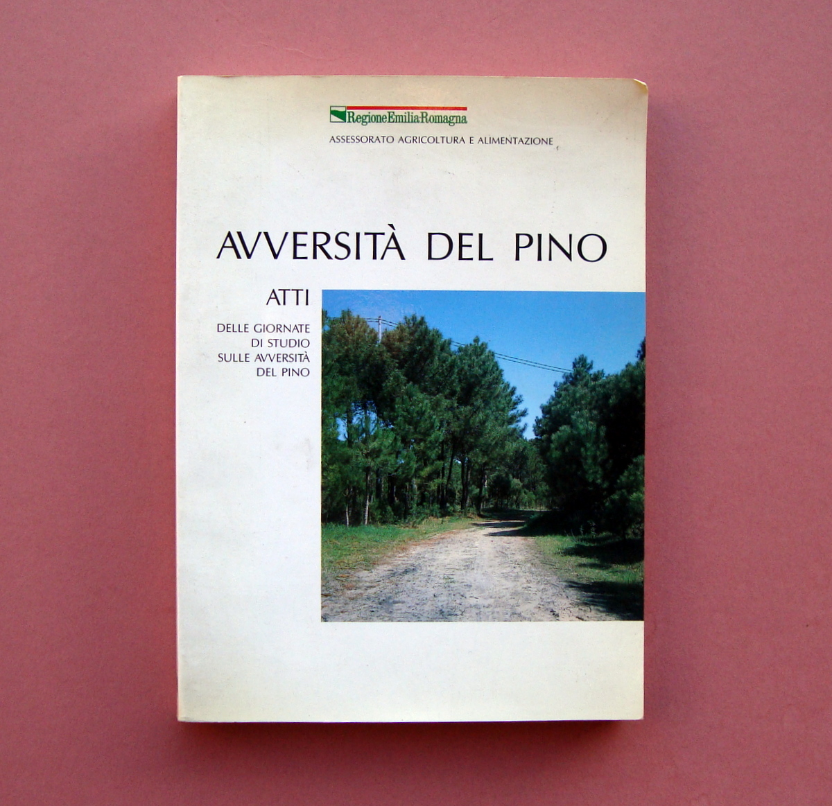 Avversità del Pino Atti Giornate di Studio Reg. Emilia Romagna …