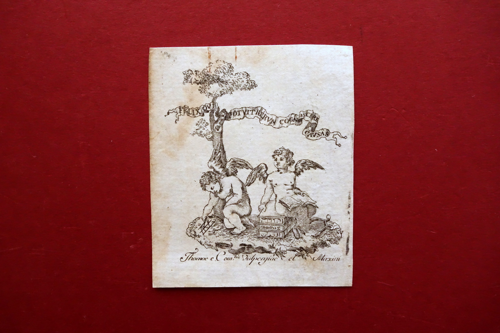 Bell'Ex Libris Inciso in Bianco e Nero Putti Libri Valpergiae …