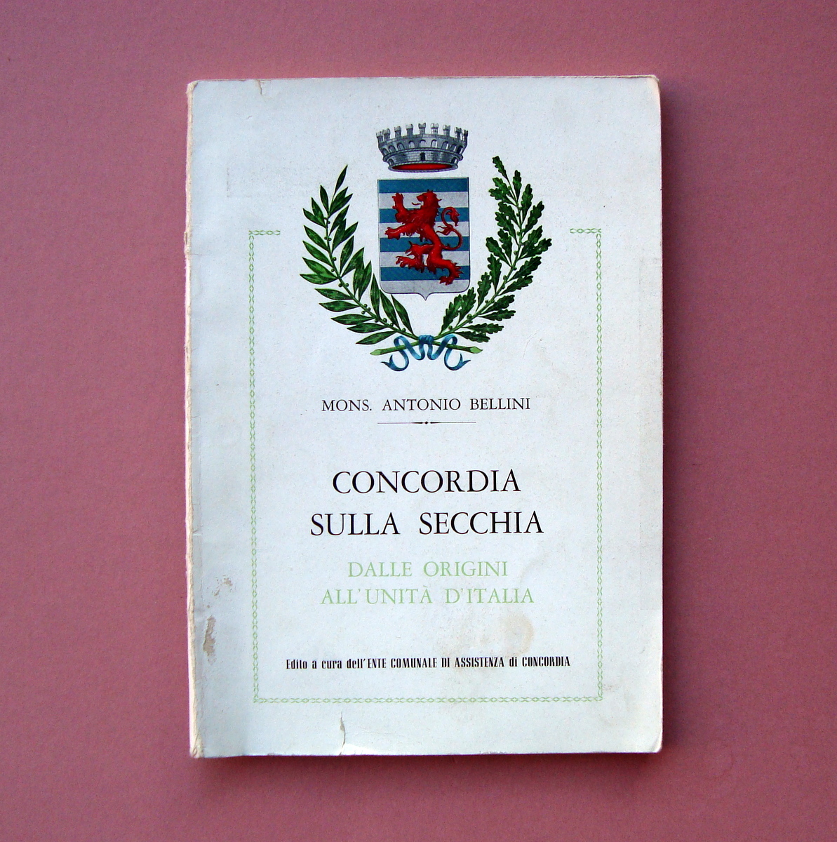 Bellini Concordia sulla Secchia dalle origini all'Unità D'Italia 1968 Salvioli