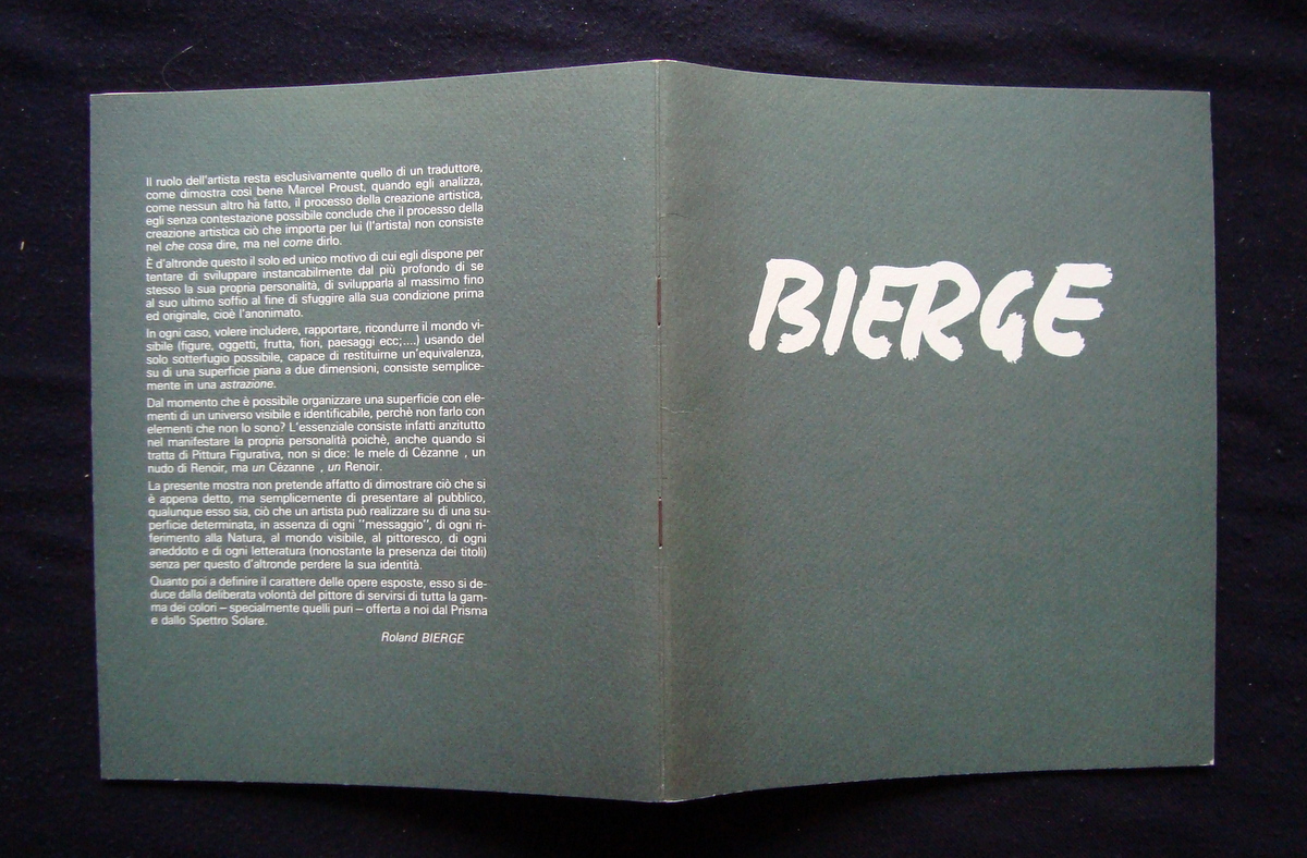 Bierge Roland Catalogo Mostra Reggio Emilia 1985 Pittura