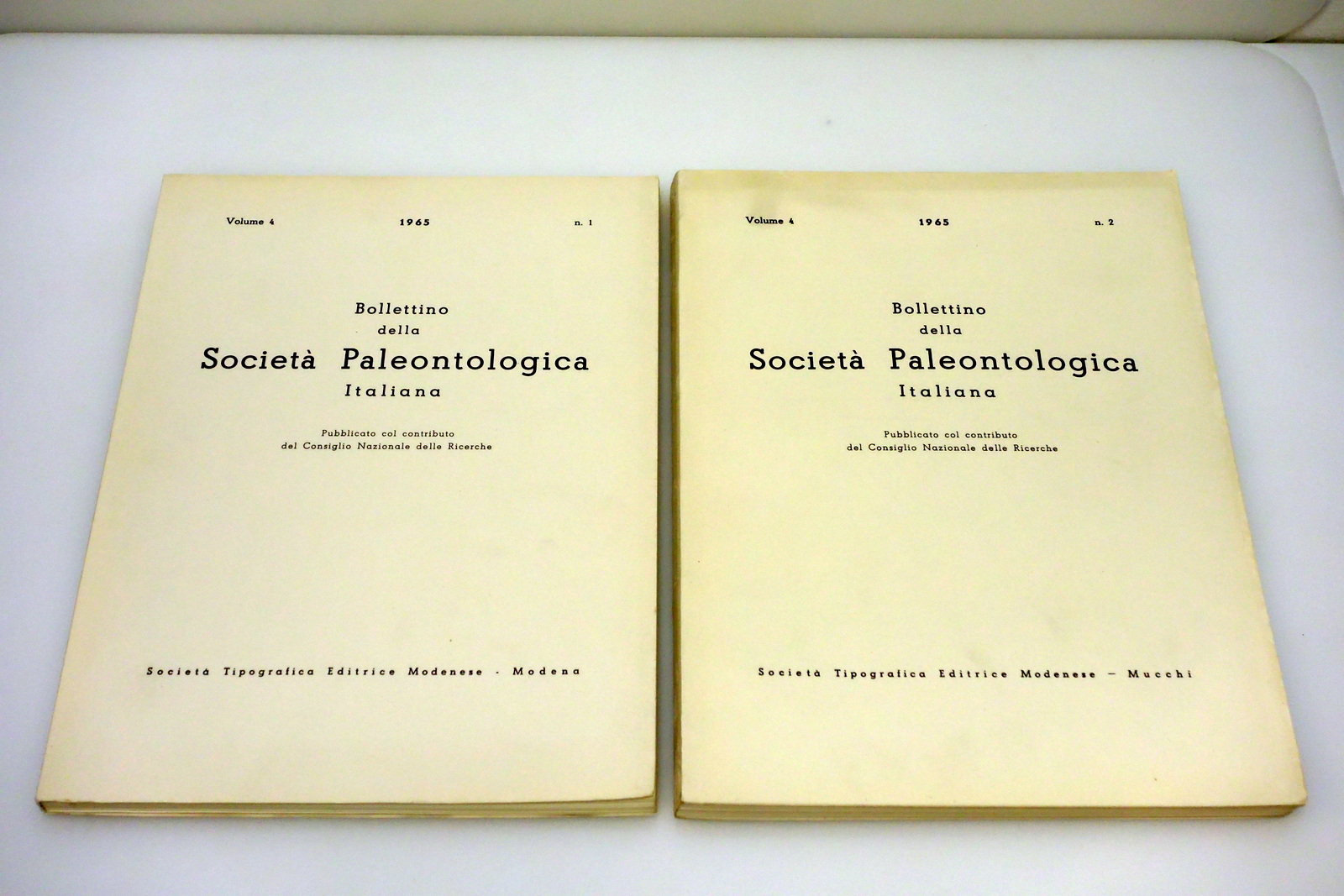 BOLLETTINO SOCIETA' PALEONTOLOGICA ITALIANA STEM ANNATA COMPLETA 1965