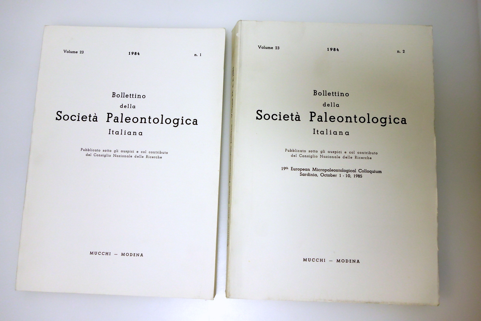 BOLLETTINO SOCIETA' PALEONTOLOGICA ITALIANA STEM ANNATA COMPLETA 1984
