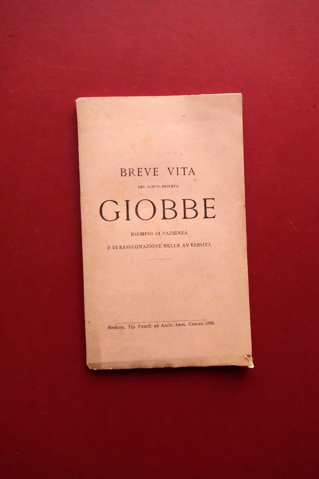 Breve Vita del Santo Profeta Giobbe Tip. Immacolata Concezione Modena …
