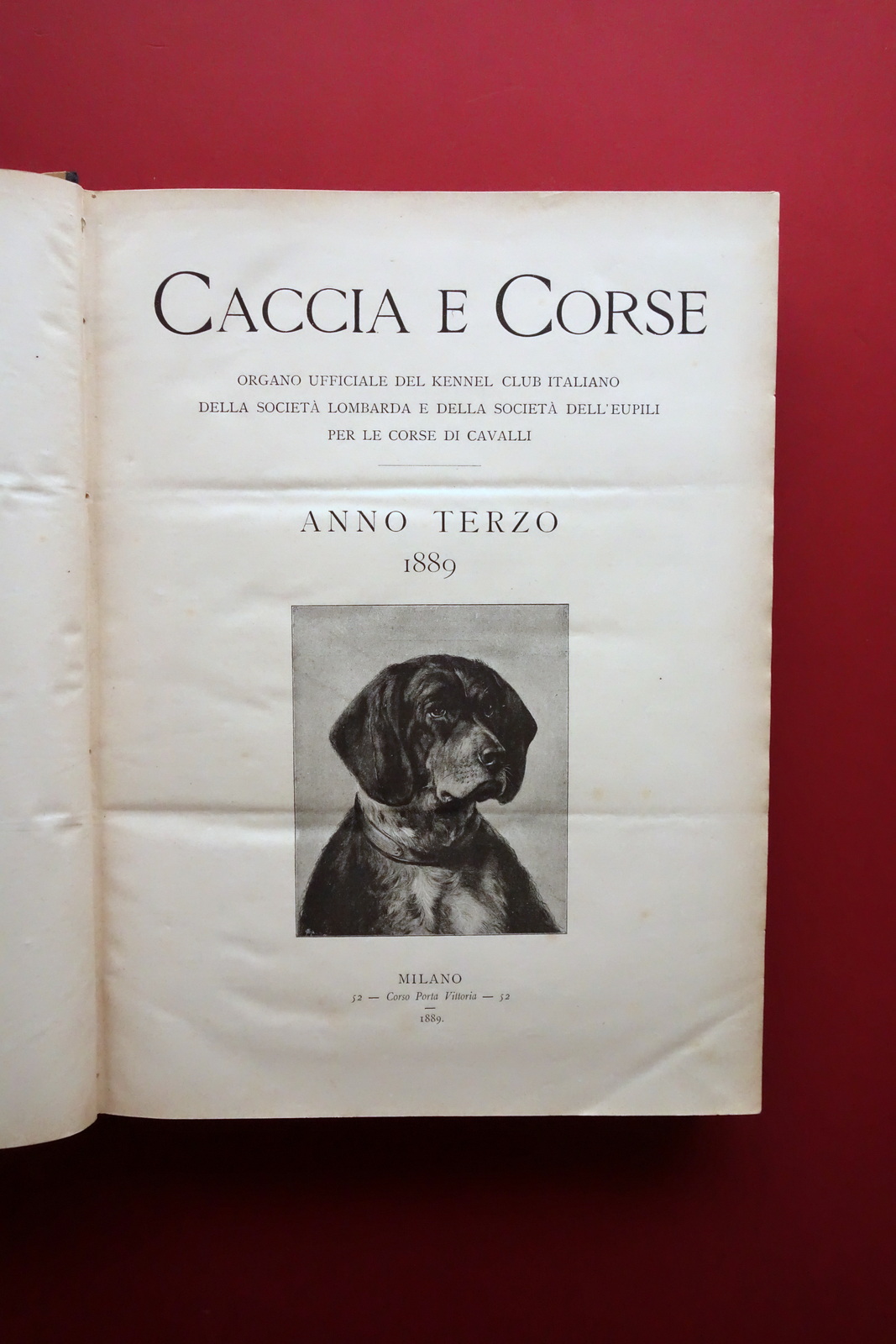 Caccia e Corse Organo del Kennel Club Italiano Cavalli Anno …