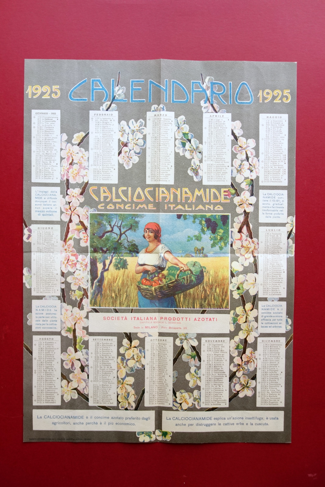 Calendario 1925 Concime Calciocianamide Soc. Italiana Prodotti Azotati Ortolani