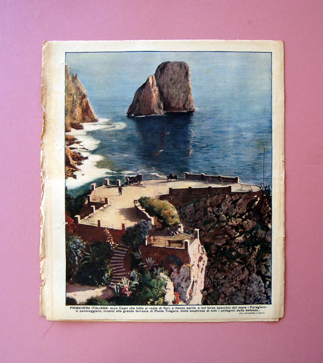 Capri Primavera Italiana Il Racconto dell'Alpino Il Mattino Illustrato n16 …