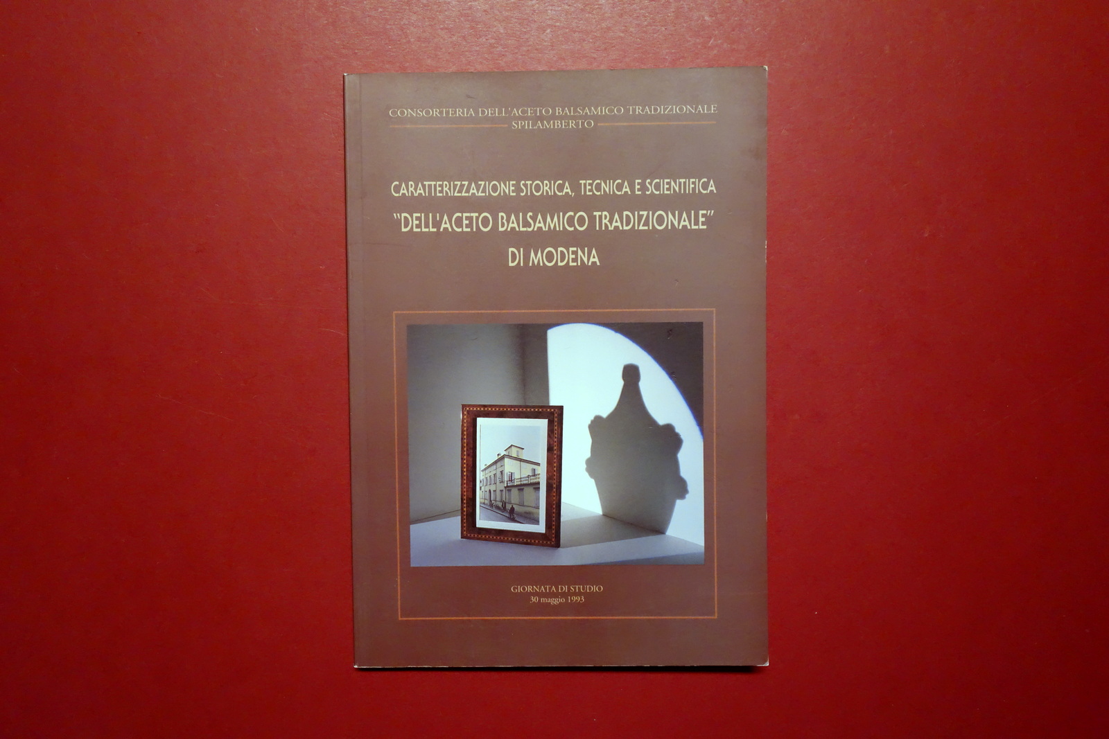 Caratterizzazione dell'Aceto Balsamico Tradizionale di Modena Spilamberto 1993