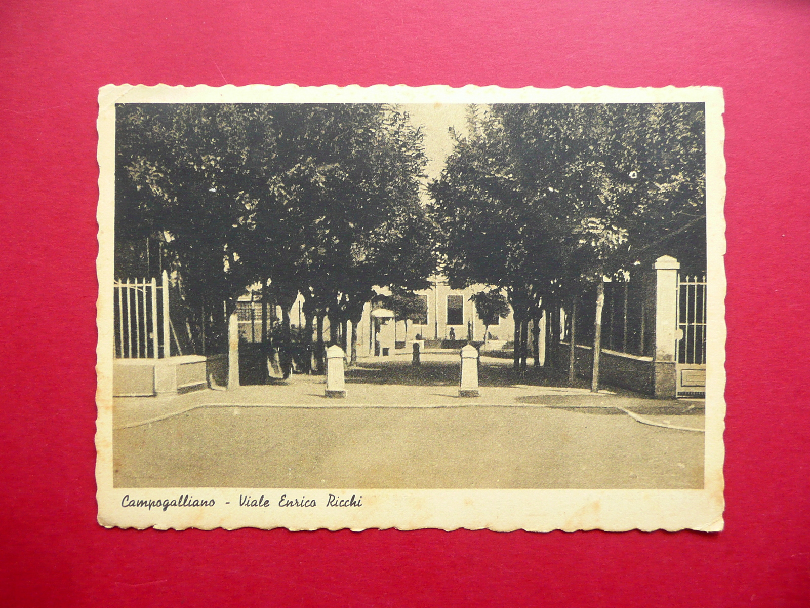 Cartolina Campogalliano Viale Enrico Ricchi 1942 Viaggiata Modena