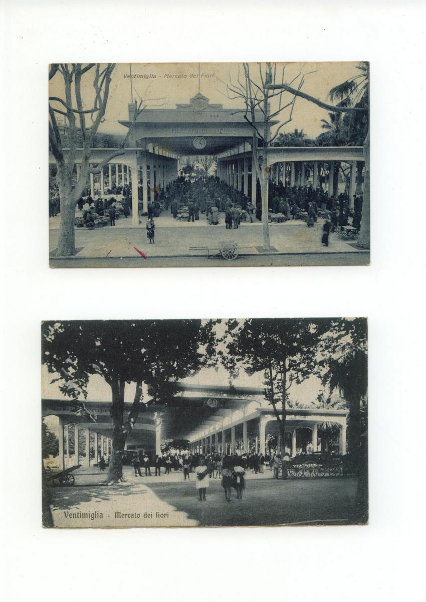 Cartolina Cartoncino Ventimiglia Mercato dei Fiori 1931 viaggiata Imperia