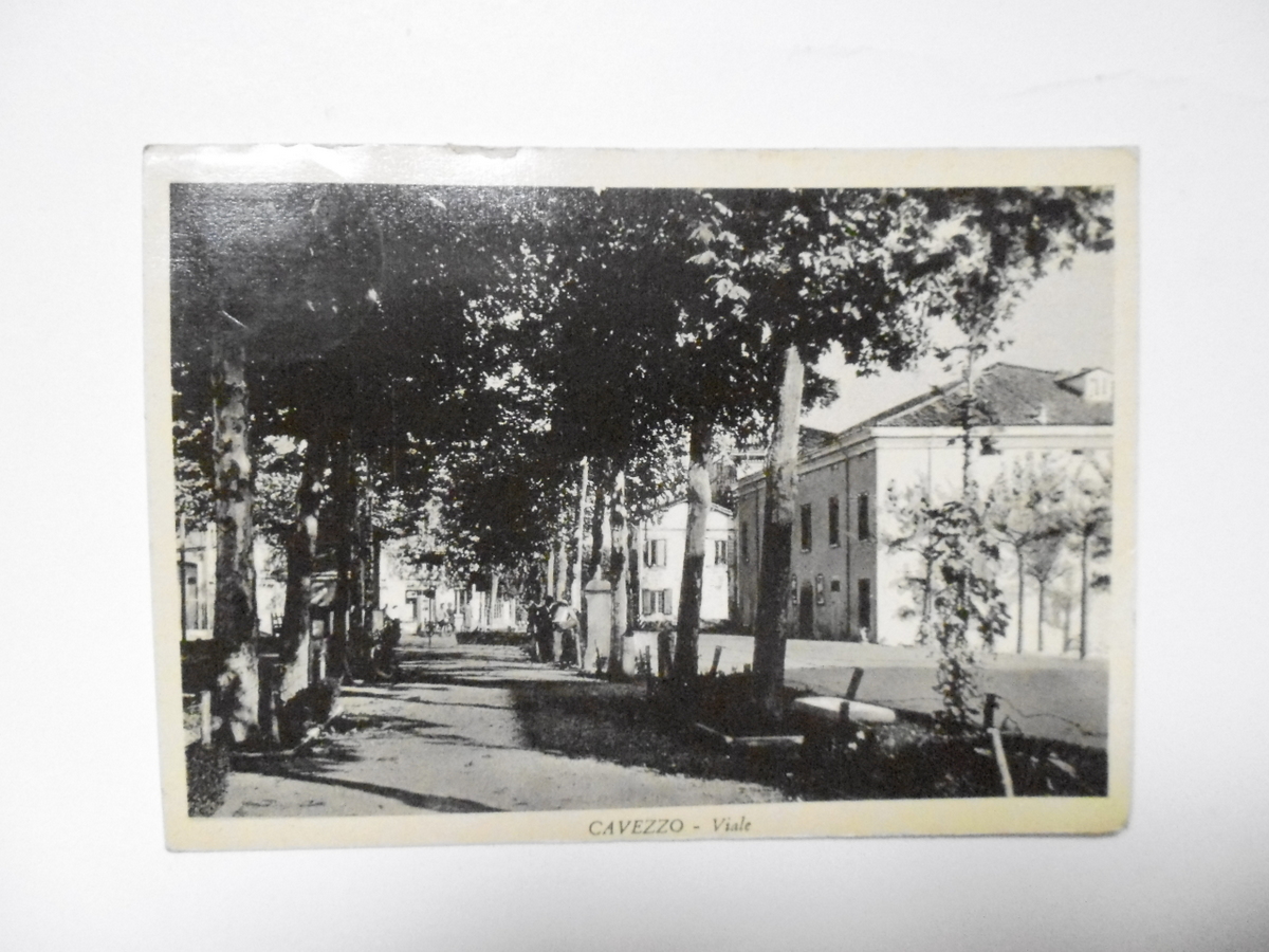 Cartolina Cavezzo Viale 1955 viaggiata Modena