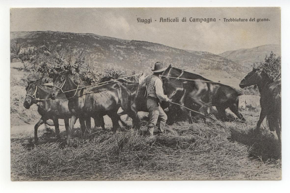Cartolina Fiuggi Anticoli di Campagna Trebbiatura 1909 viaggiata Frosinone