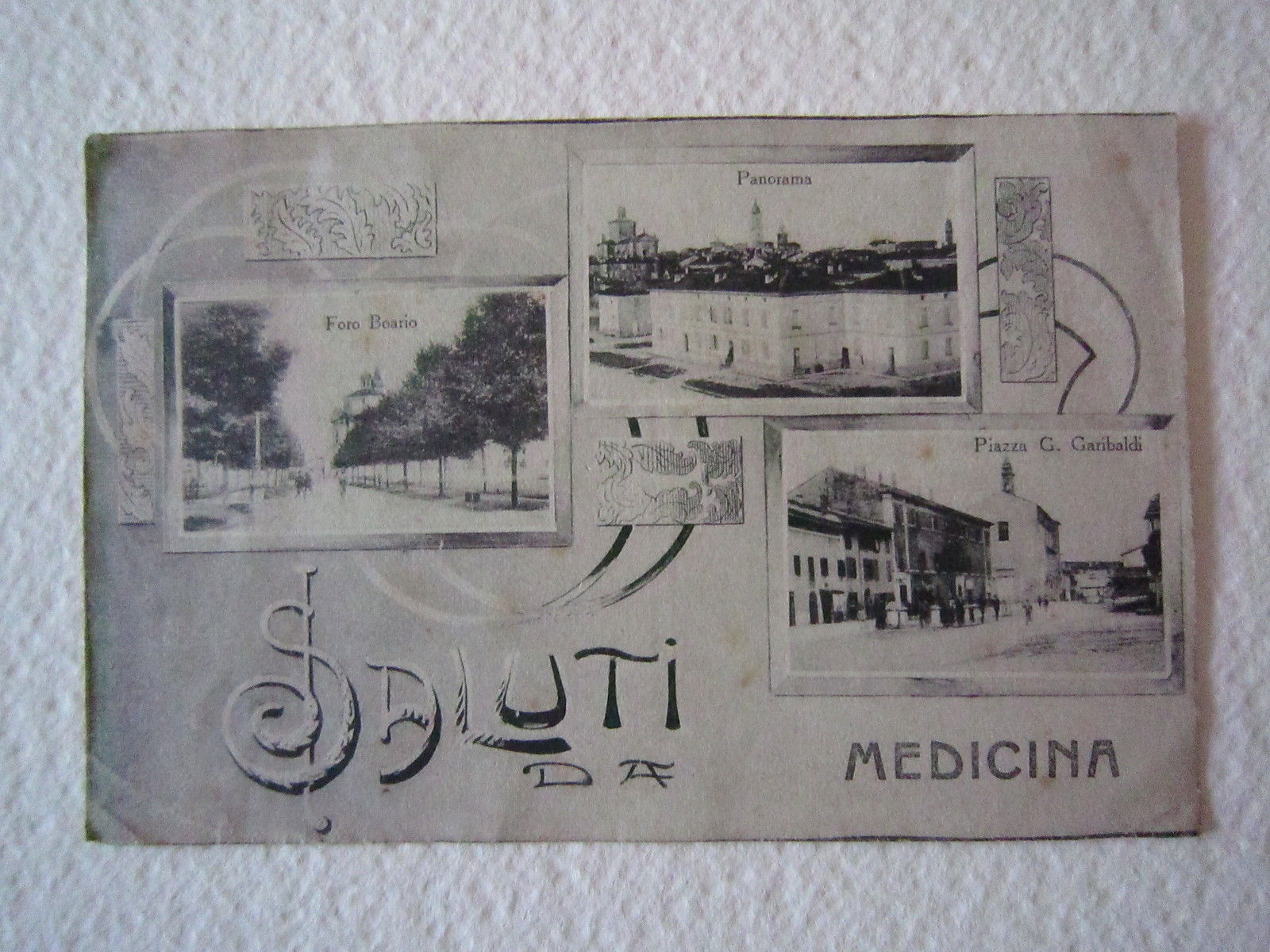 Cartolina Locale 1919 Emilia Romagna Bologna Medicina Panorama Foro Boario