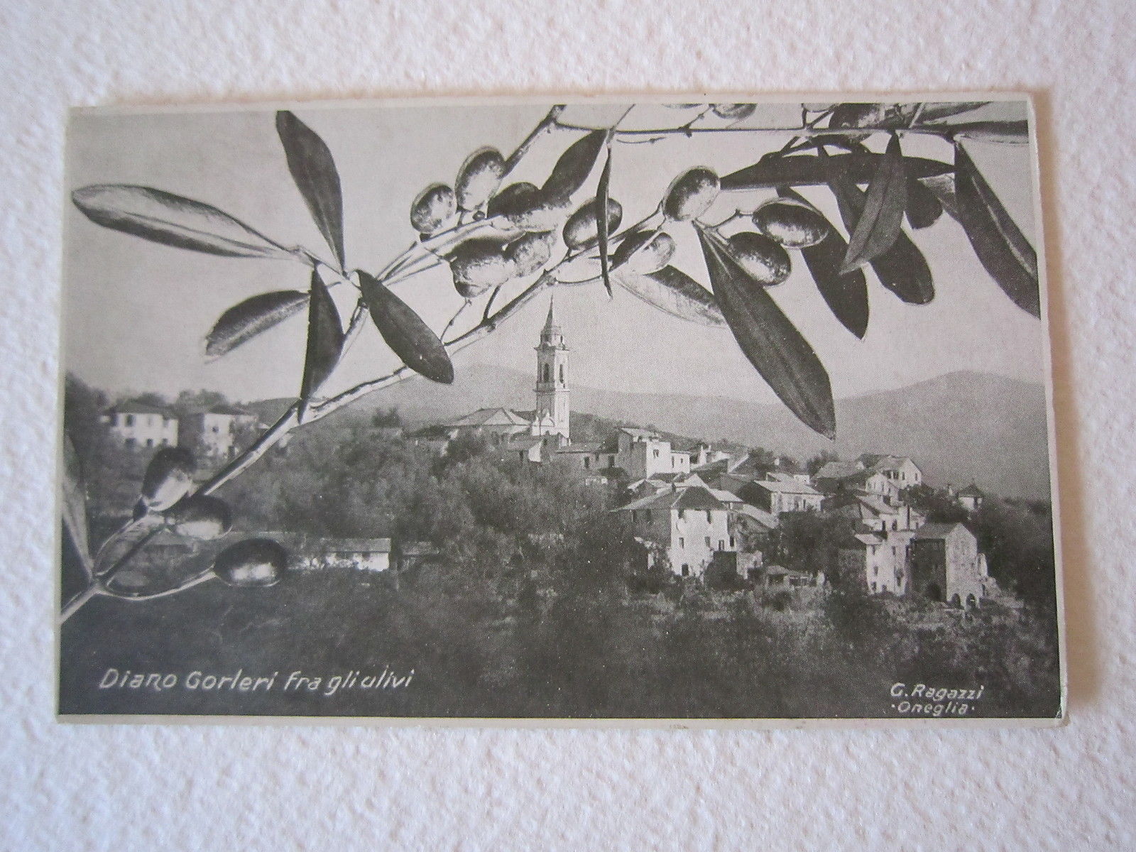 Cartolina Locale circa anni '40 Liguria Imperia Diano Gorleri Ulivi …