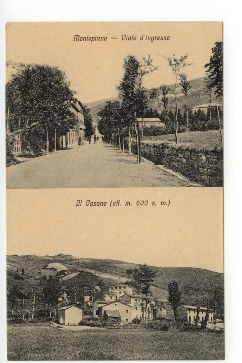 Cartolina Montepiano Viale d'Ingresso Il Casone non viaggiata Prato