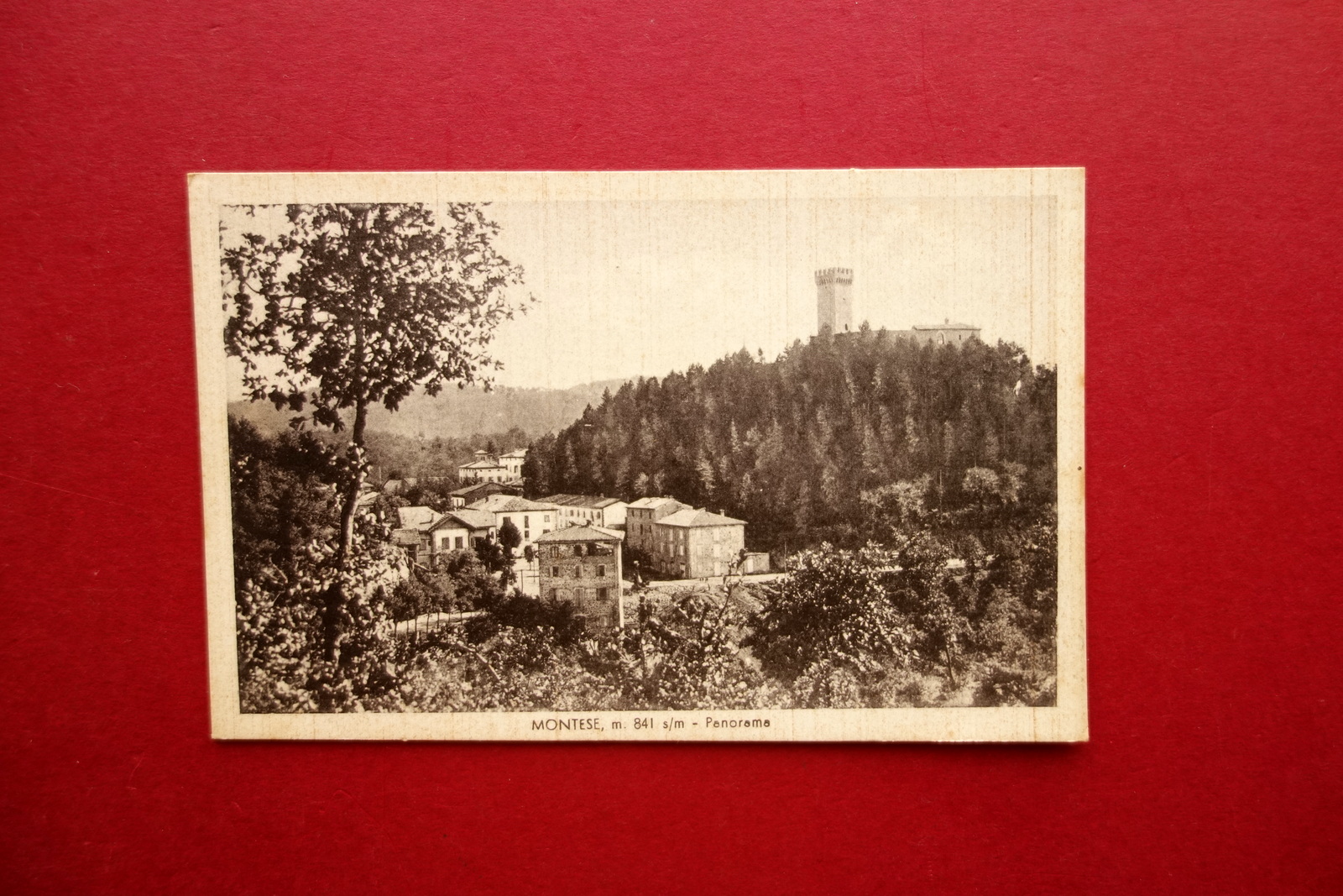 Cartolina Montese Panorama Non Viaggiata 1940 Appennino Modena