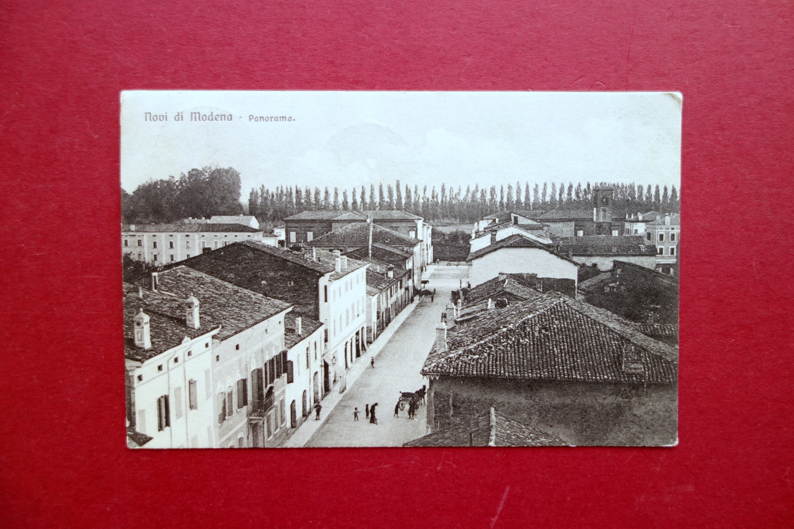 Cartolina Novi di Modena Panorama Veduta Animata Viaggiata 1910