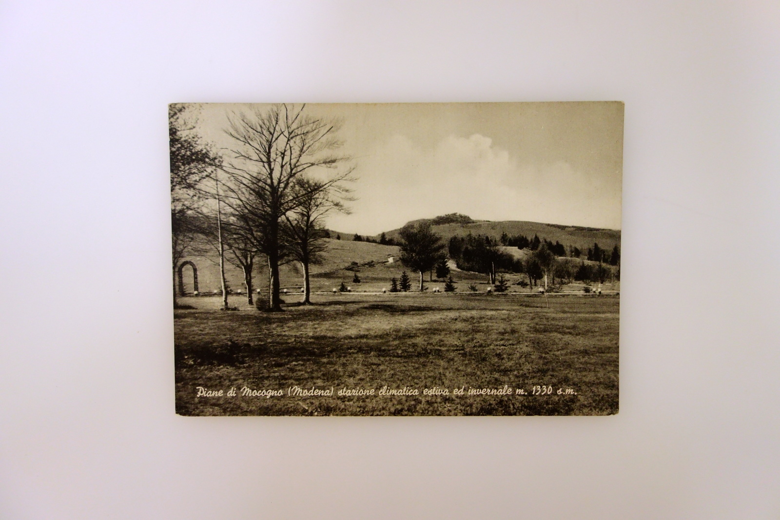 Cartolina Piane di Mocogno Panorama Modena Appennino Viaggiata 1955