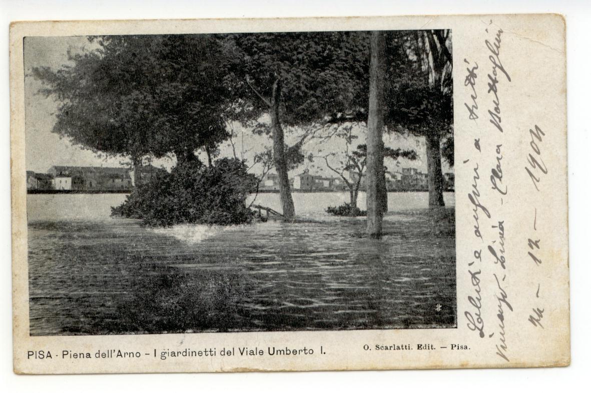 Cartolina Pisa Piena dell'Arno I Giardinetti del Viale Umberto I …