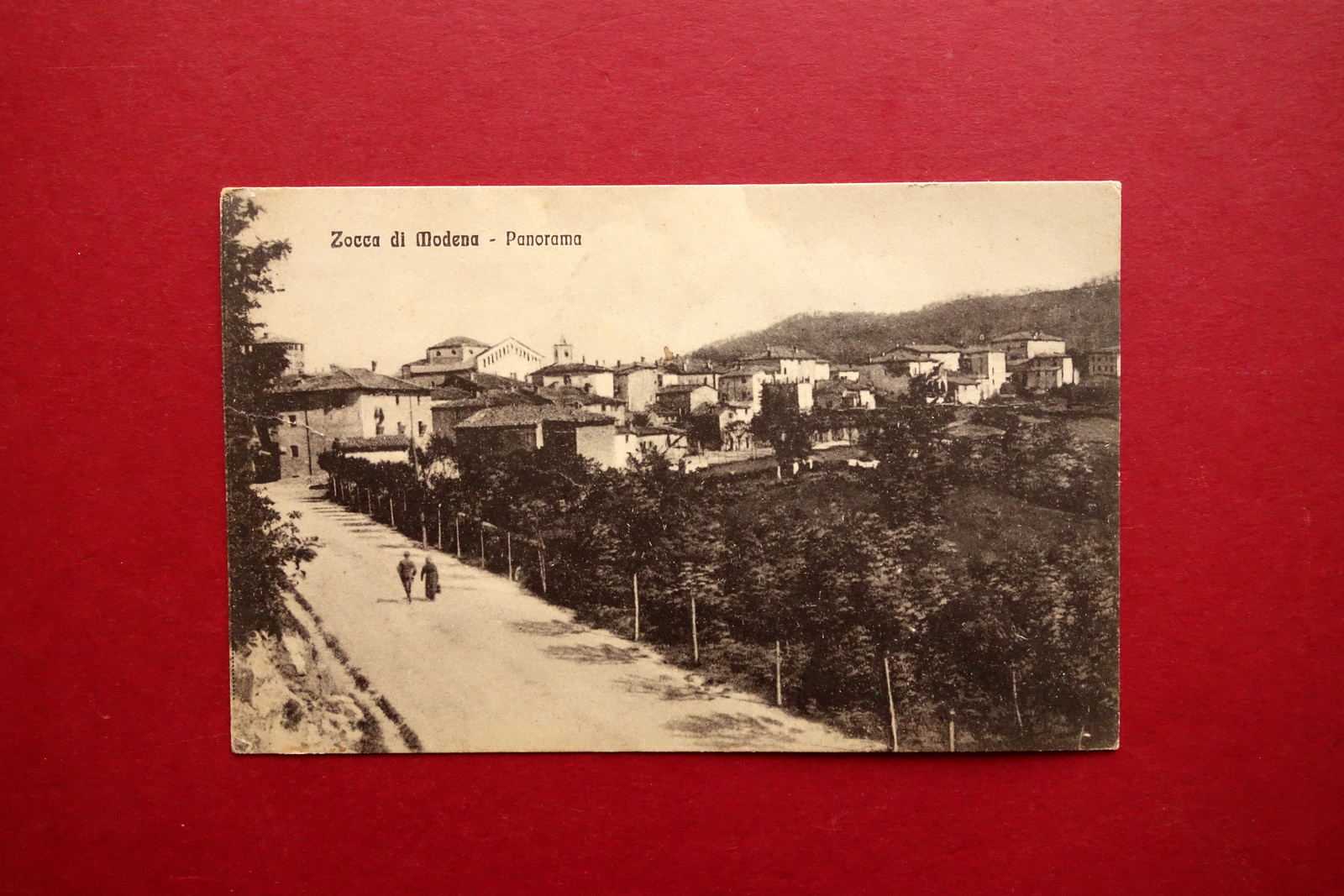 Cartolina Zocca di Modena Panorama Viaggiata 1927