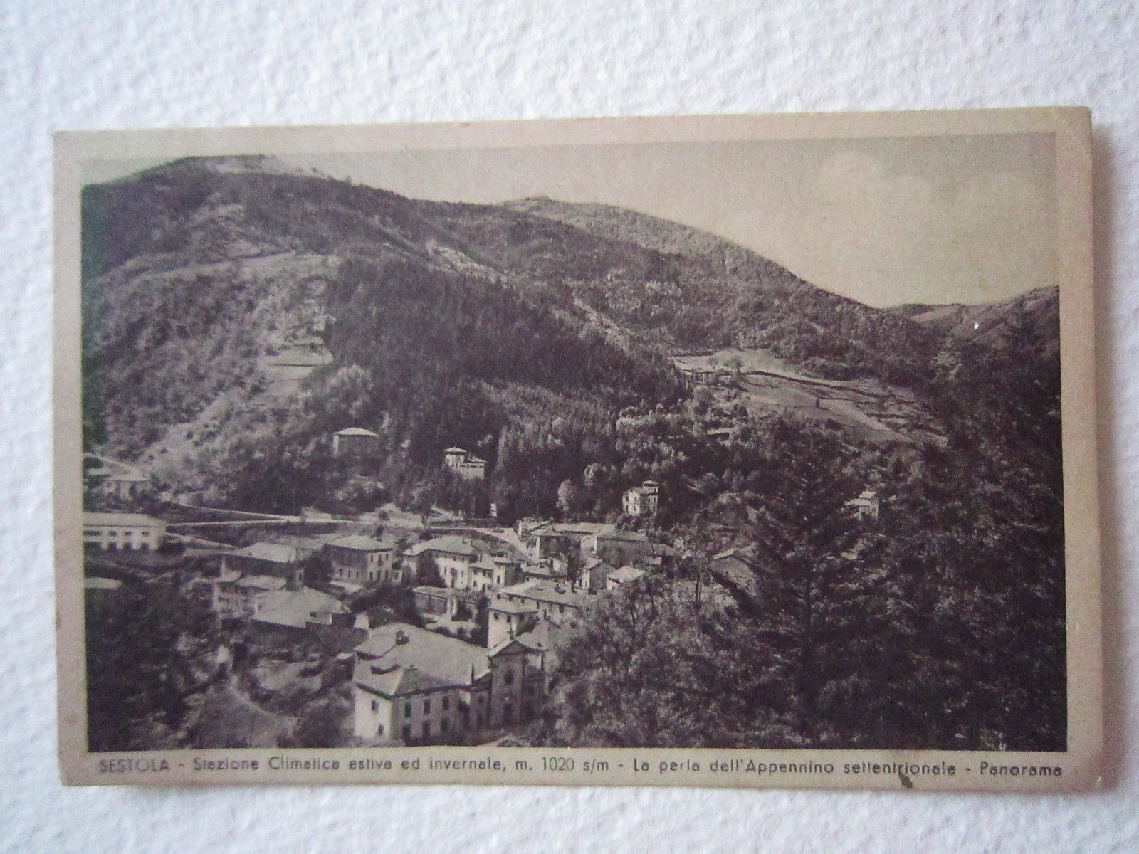 Cartoline Locale 1947 Emilia Romagna Modena Sestola Stazione Climatica Panorama