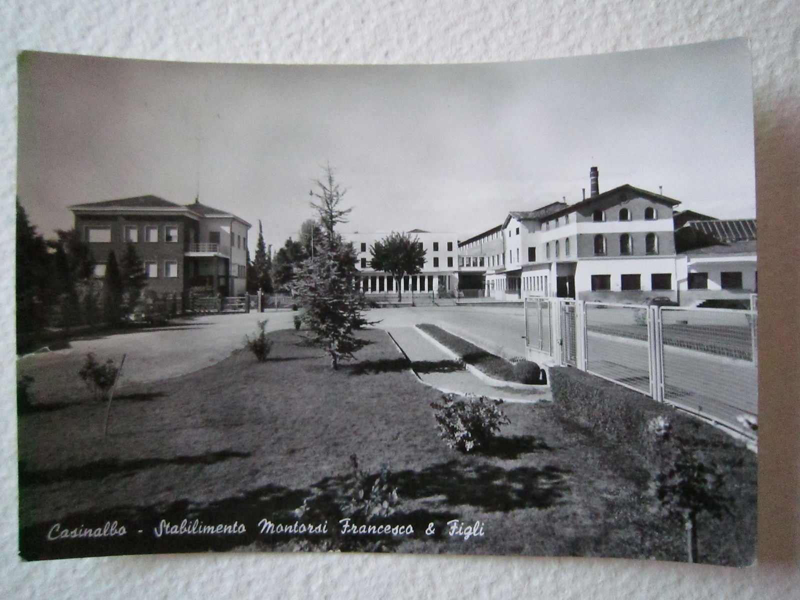 Cartoline Locale 1959 Emilia Romagna Modena Formigine Casinalbo Montorsi