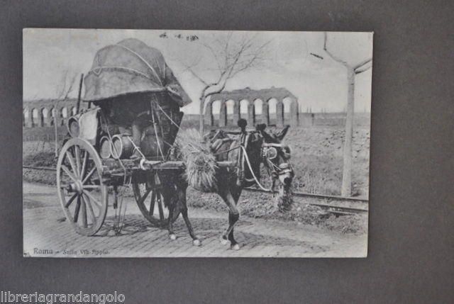 Cartoline Roma Via Appia Contadini Calesse Botti Carro Campagna Romana …