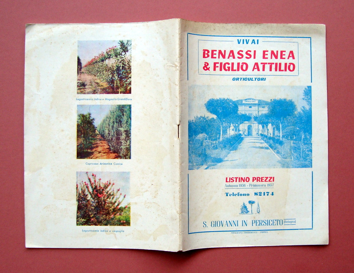 Catalogo Benassi Orticoltori San Giovanni Persiceto 1957 Vivai Piante Bulbi