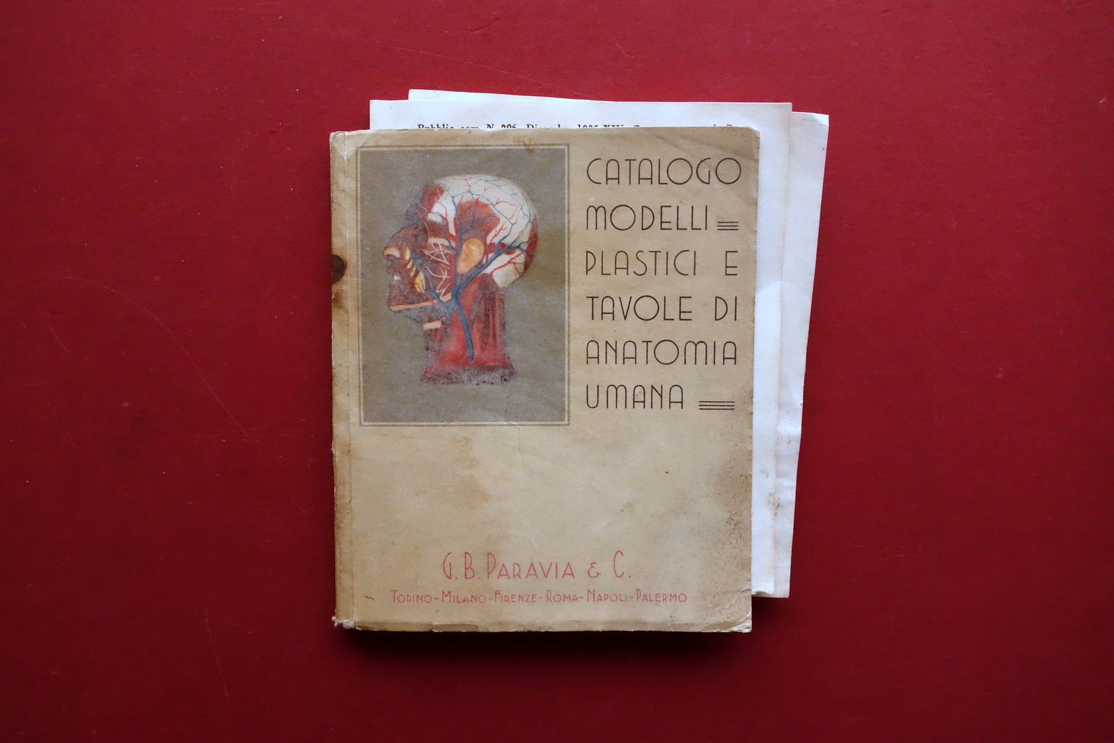 Catalogo Modelli Plastici e Tavole di Anatomia Umana Paravia 1935