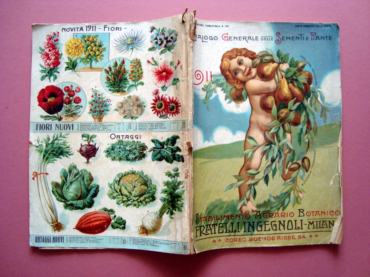 Catalogo trimestrale n.149 1911 F.lli Ingegnoli S.A Milano Stab.Agrario Botanico