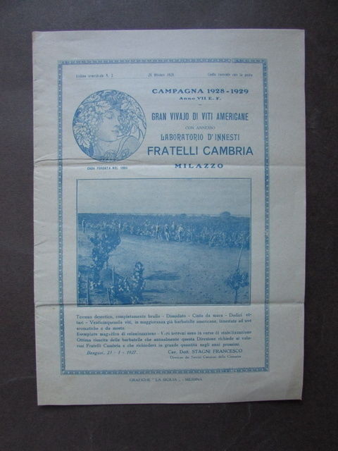 Catalogo Vivaio Viti Americane Innesti Cambria Milazzo 1928 Uva Agricoltura