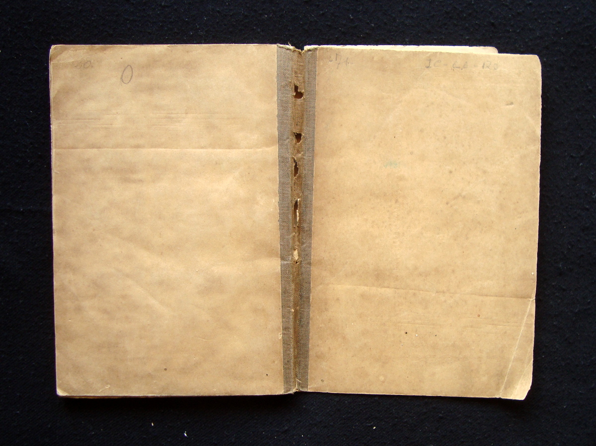 Centenario San Pietro dipinti Basilica Santificazione 25 beati 1867 Roma