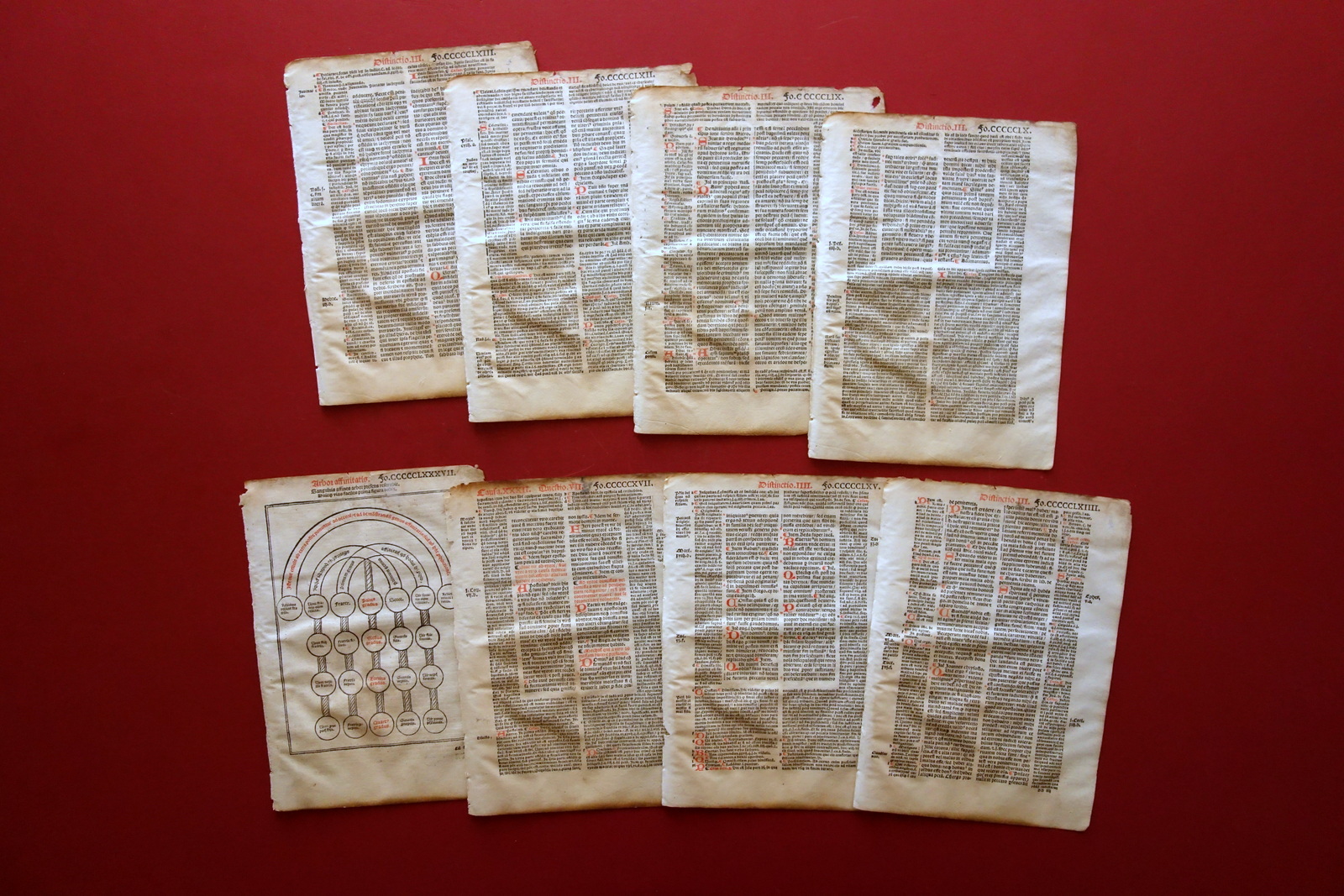 Cinquecentina Frammento Sulla Penitenza Arboris Affinitatis '500 Liturgia