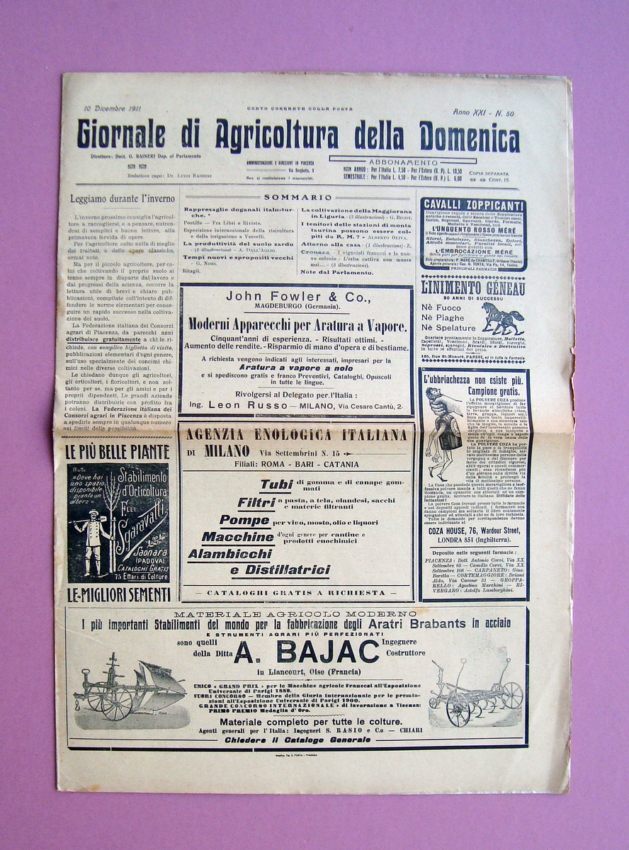 Coltivazione maggiorana in Liguria Giornale Agricoltura della Domenica 1911